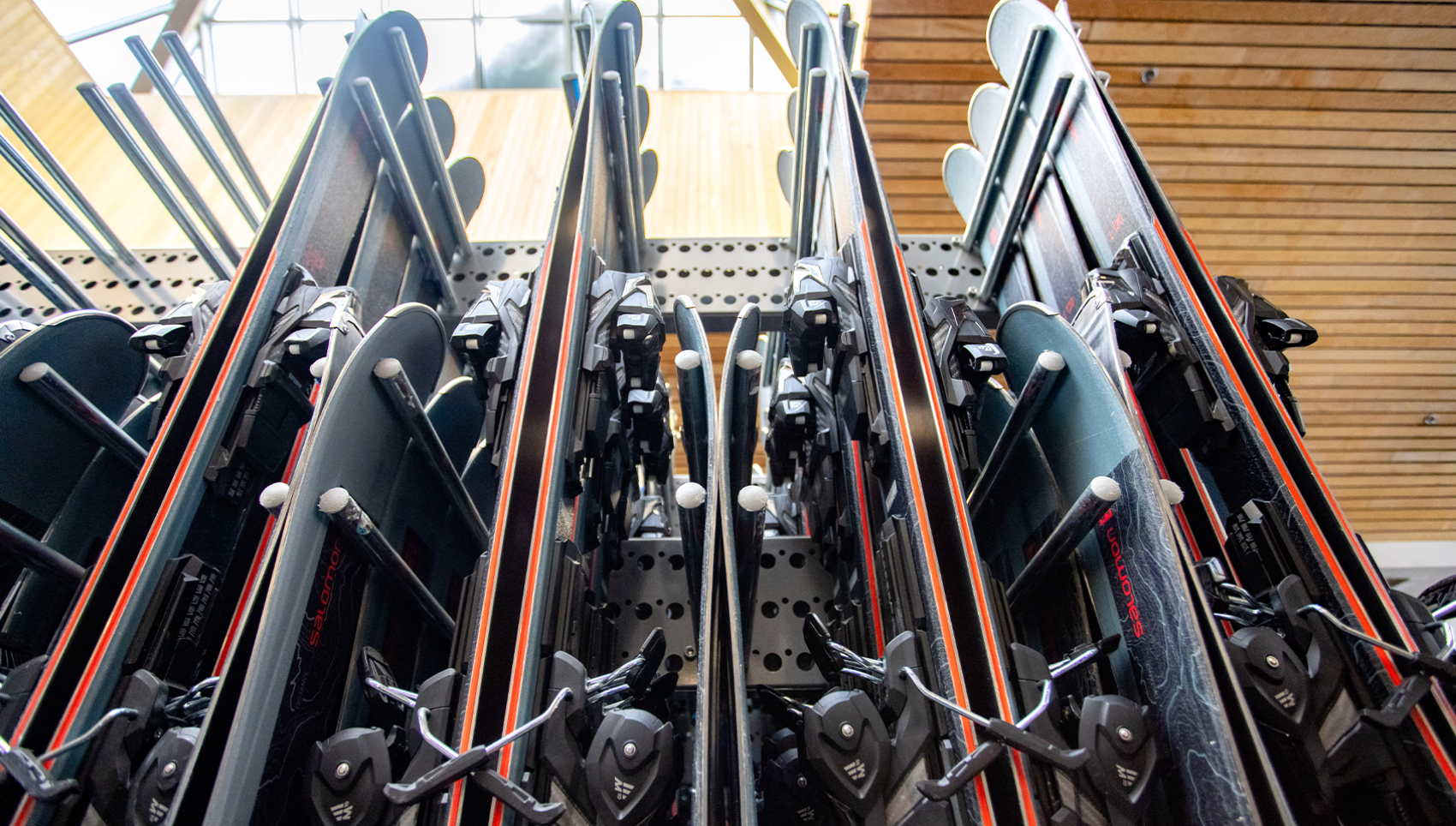Picture of Adult Standard Rentals
